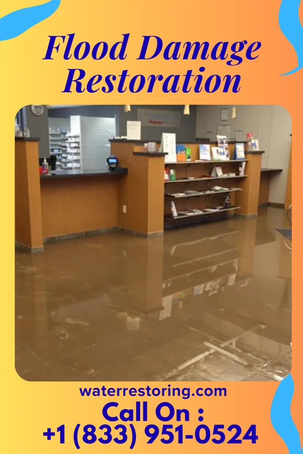 Flood Damage Restoration in Elmwood Park, IL