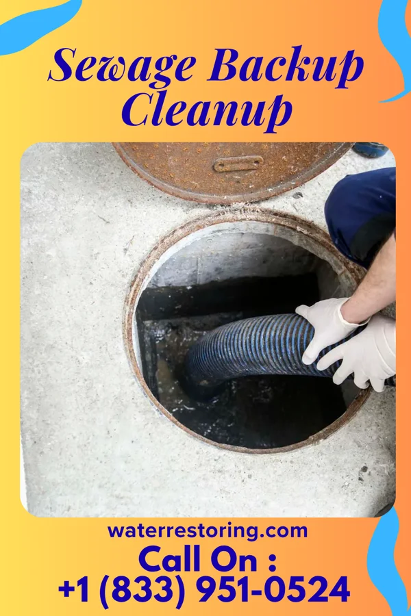 Sewage Backup Cleanup in Elmwood Park, IL